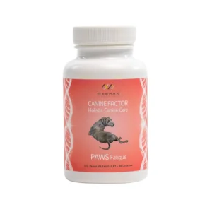 Canine Factor | PAWS Fatigue | Boost Your Pets Energy