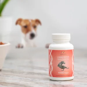 Alternative view of Canine Factor | PAWS Fatigue | Boost Your Pets Energy
