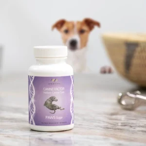 Alternative view of Canine Factor | PAWS Sugar | Natural Support for Dogs with Diabetes